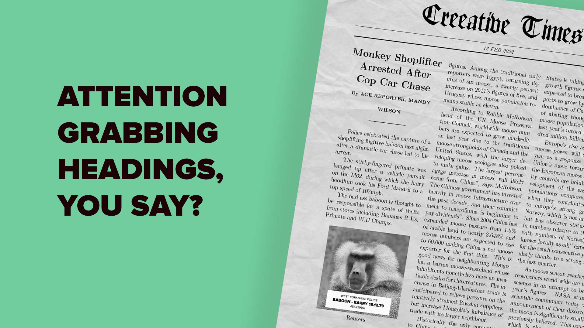 blog & article writing